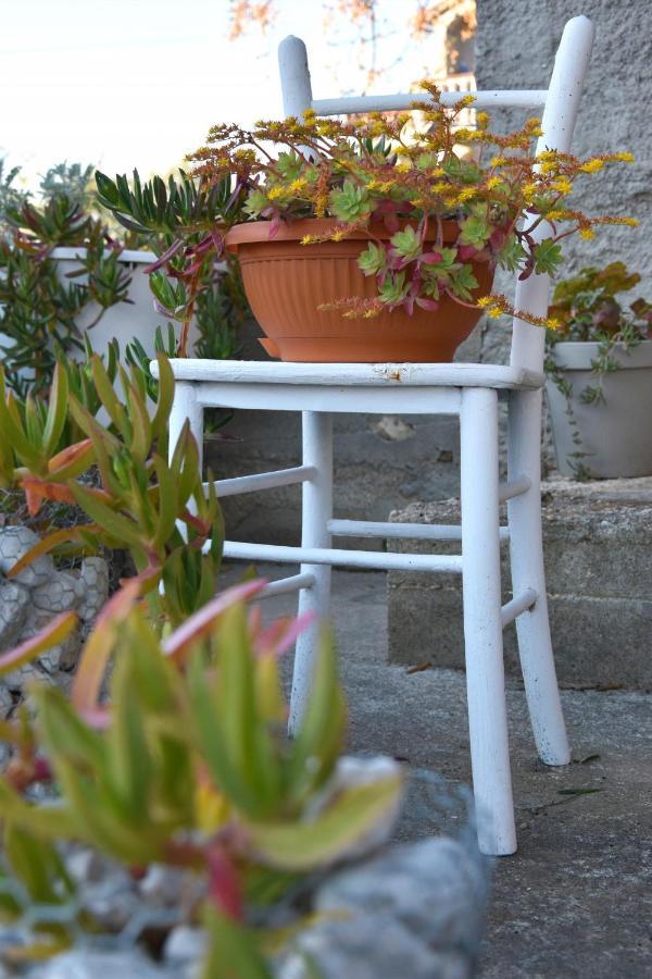 Greenvine Apartment Zadar Exterior foto