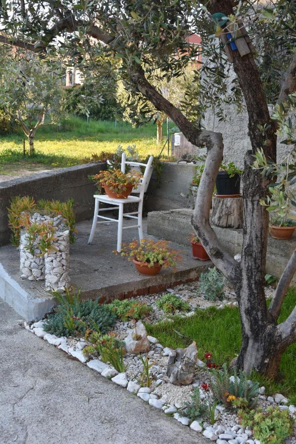 Greenvine Apartment Zadar Exterior foto